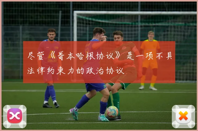 尽管《哥本哈根协议》是一项不具法律约束力的政治协议