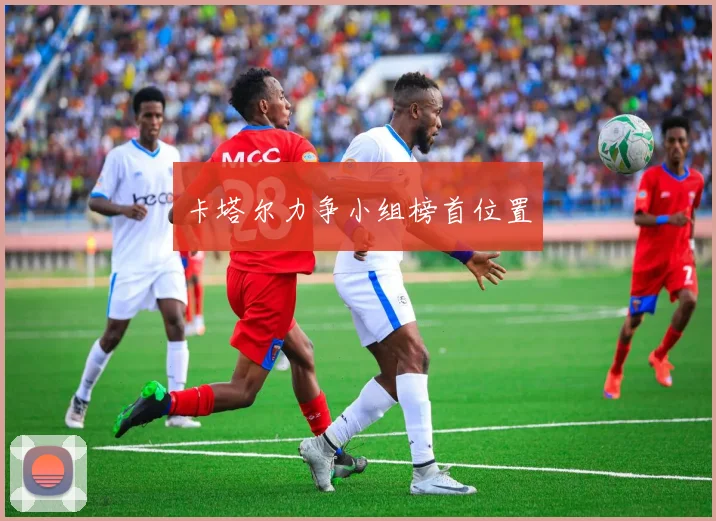 卡塔尔力争小组榜首位置