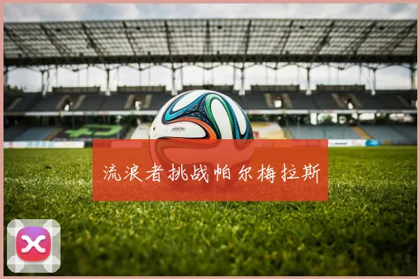 流浪者挑战帕尔梅拉斯