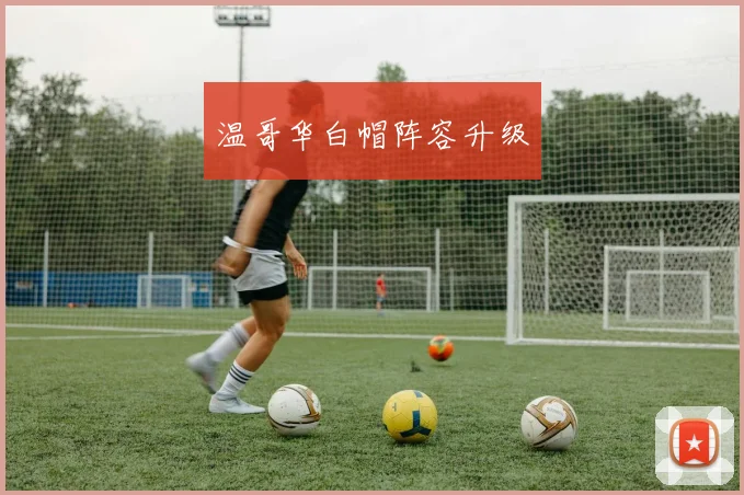 温哥华白帽阵容升级