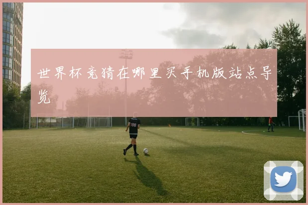 世界杯竞猜在哪里买手机版站点导览