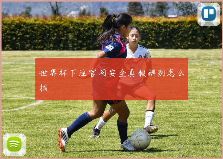 世界杯下注官网安全真假辨别怎么找