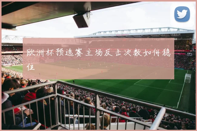 欧洲杯预选赛主场反击次数如何稳住