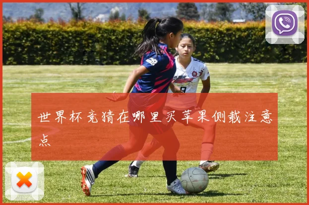 世界杯竞猜在哪里买苹果侧载注意点