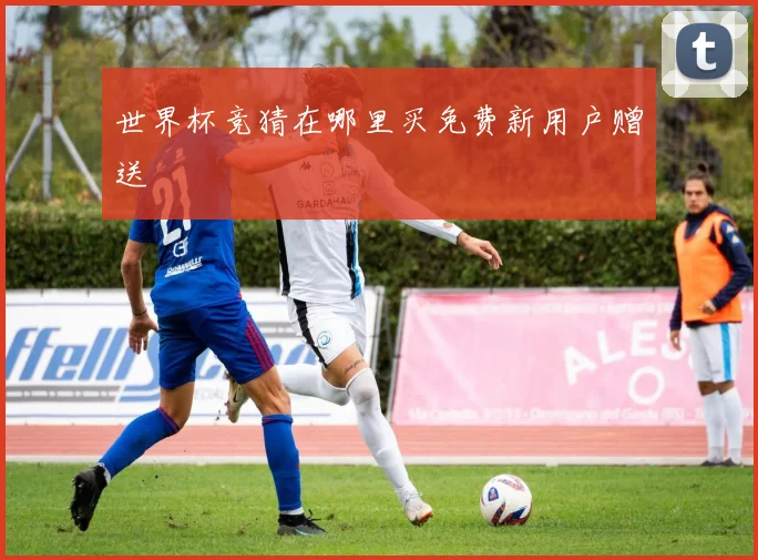世界杯竞猜在哪里买免费新用户赠送