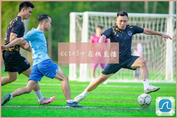 cctv5十在线直播